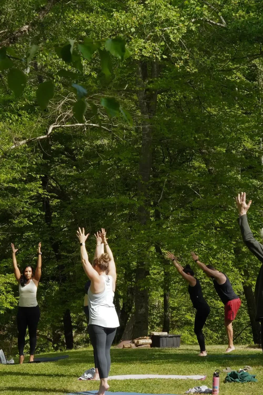 Group of people practicing yoga outdoors in a forest, standing on yoga mats with arms raised or bent in yoga poses.