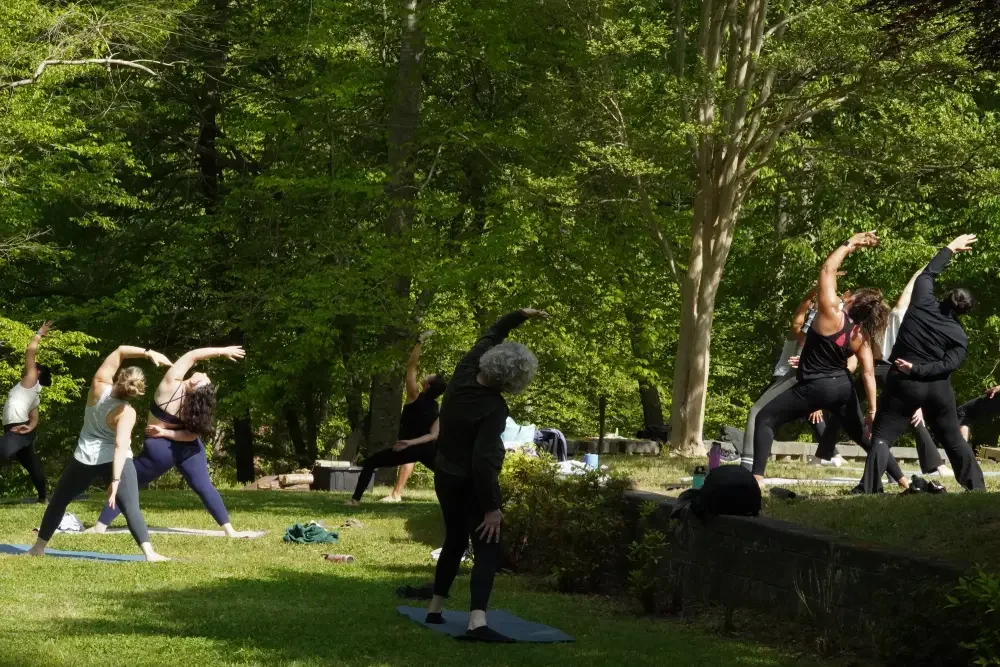 People practicing outdoor yoga or stretching in a park surrounded by green trees.