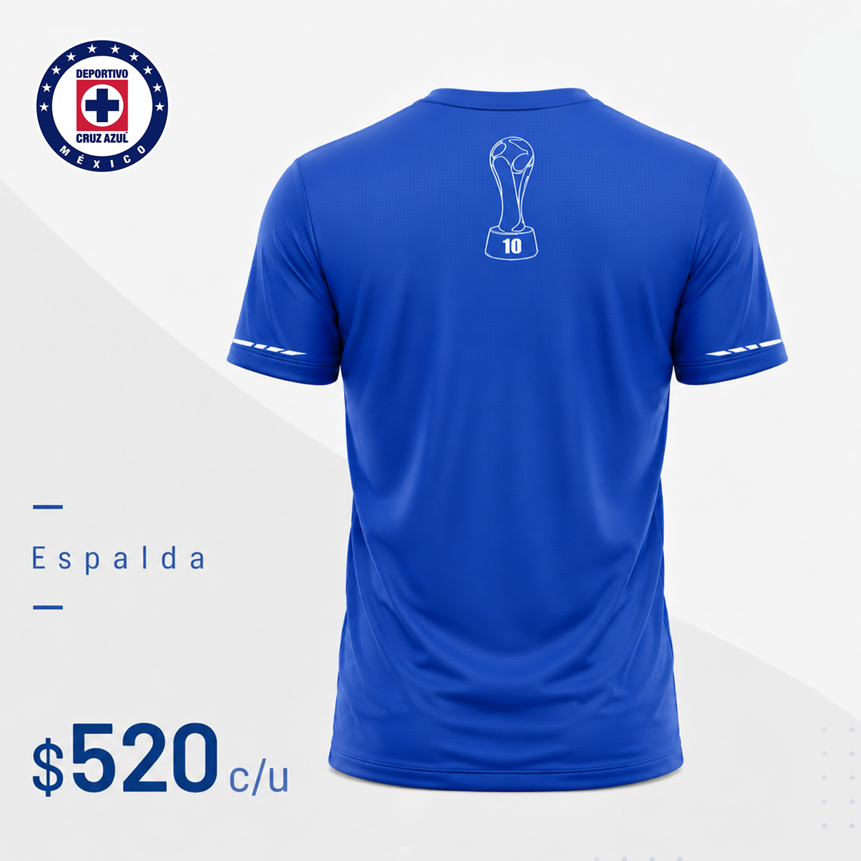 espalda 10 estrellas.png