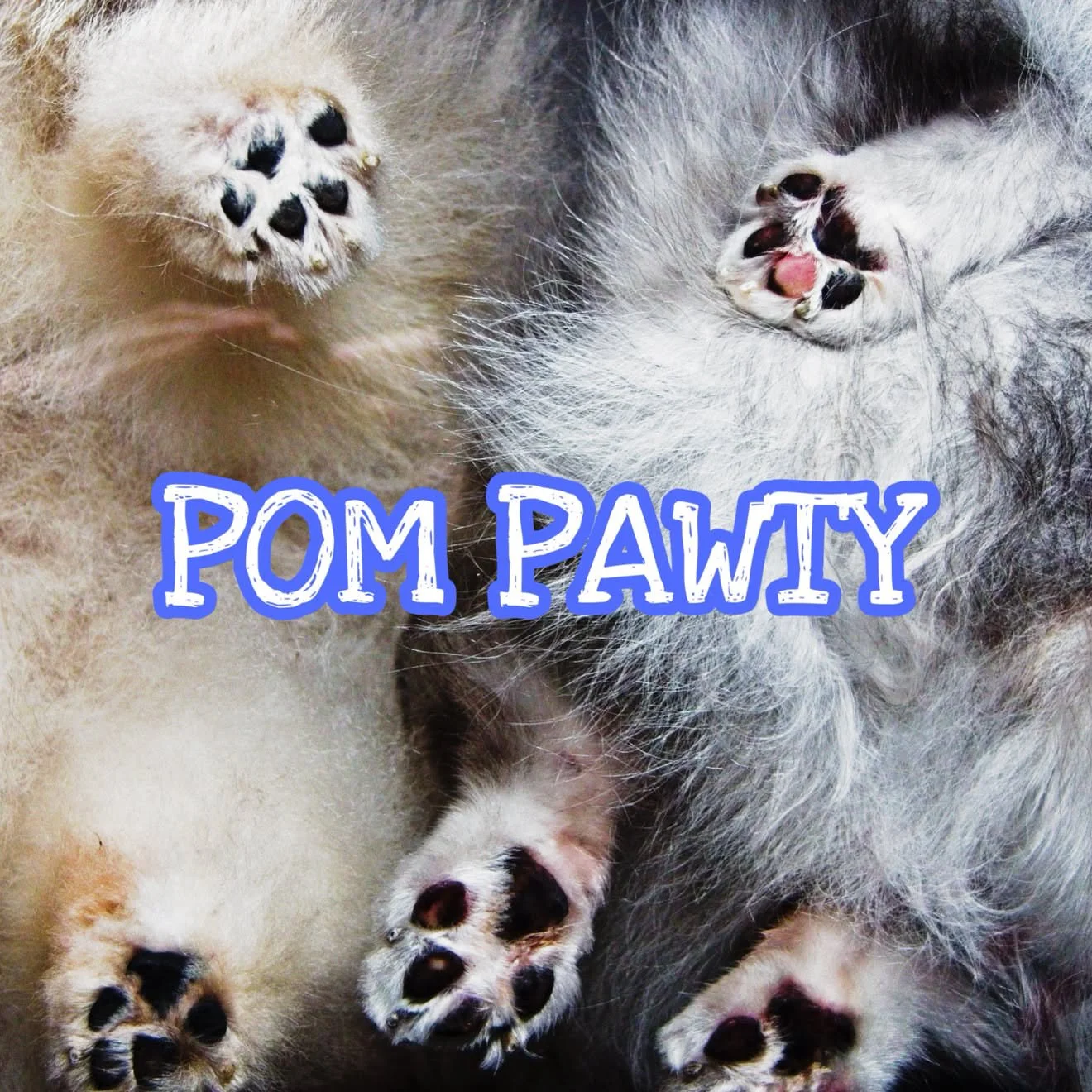 Celebrating a 100th Pom Pom Party with a large number 100, handwritten text, and a cute cartoon illustration of a fluffy dog.