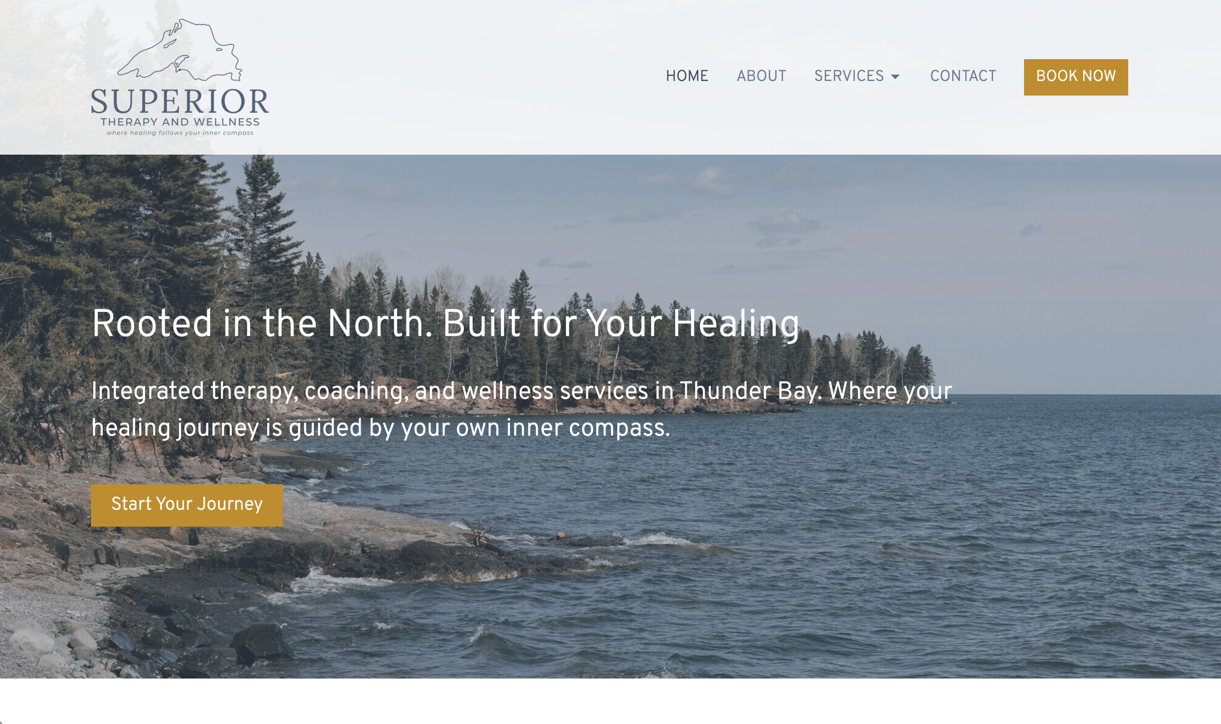 Scenic view of a rocky shoreline with trees and a large body of water under a cloudy sky, representing therapy and wellness in nature.