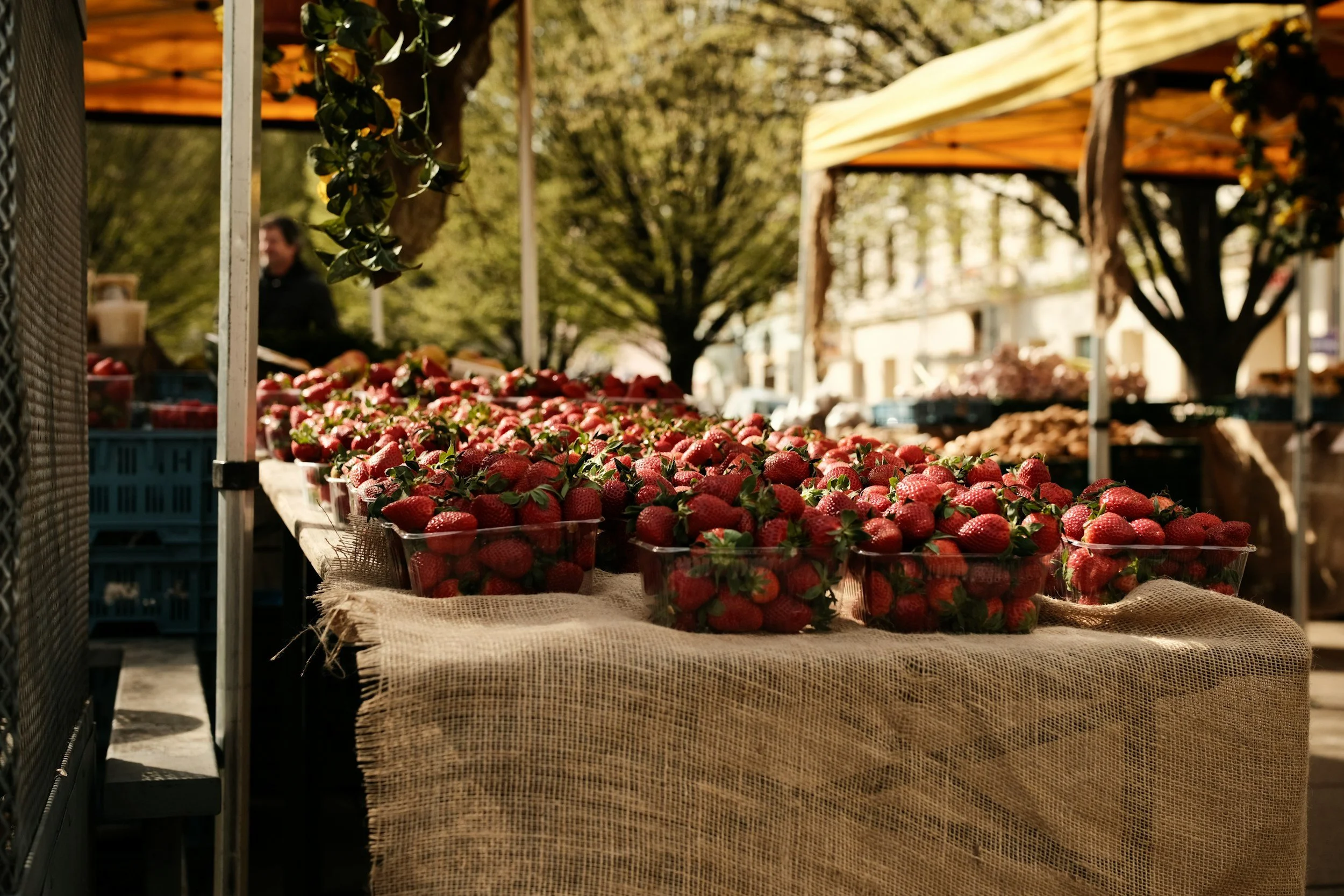 A market stall selling strawberries in clear plastic containers with a burlap cloth covering the table, set outdoors with trees and tents in the background.