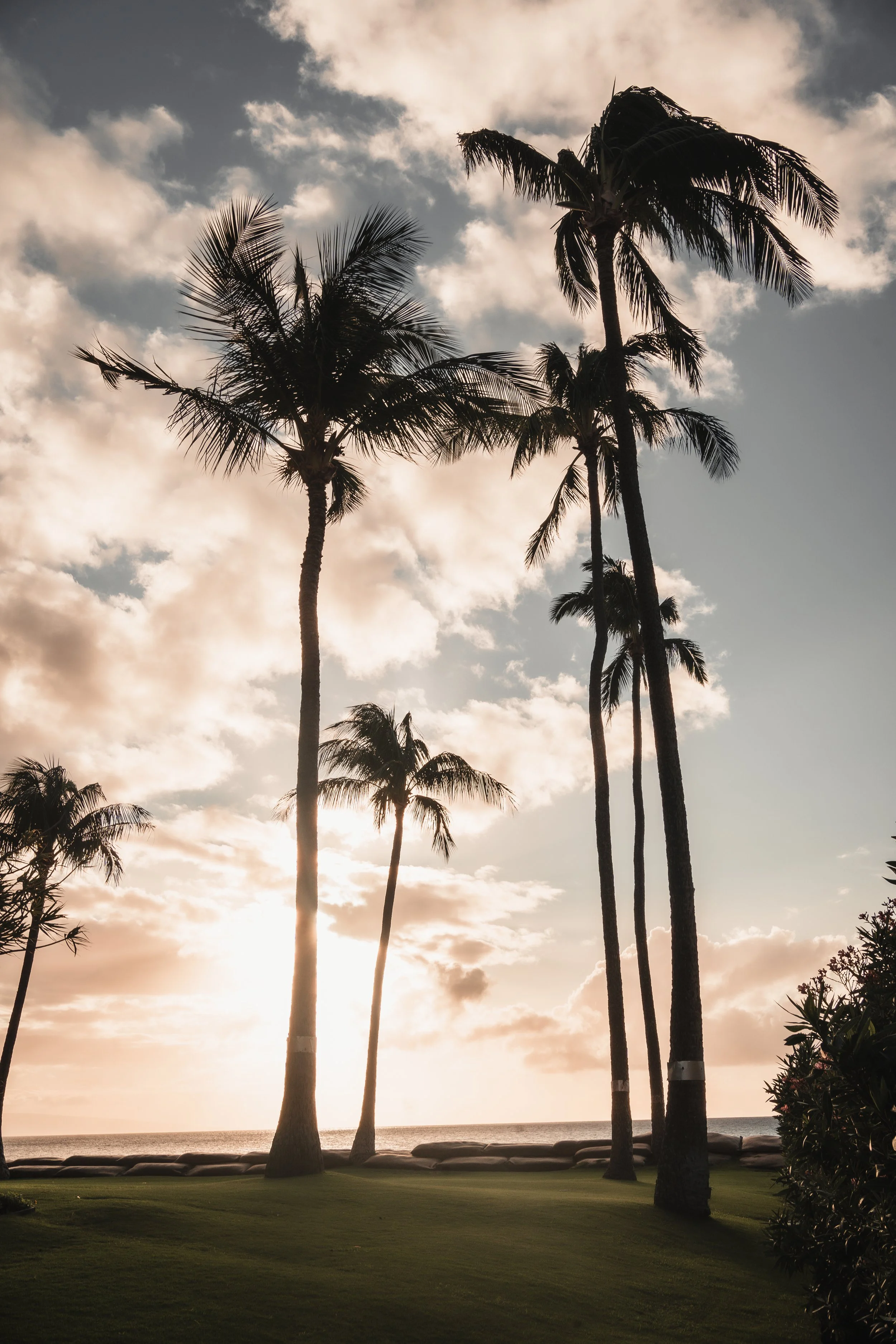 hawaii october 2021-7.jpg