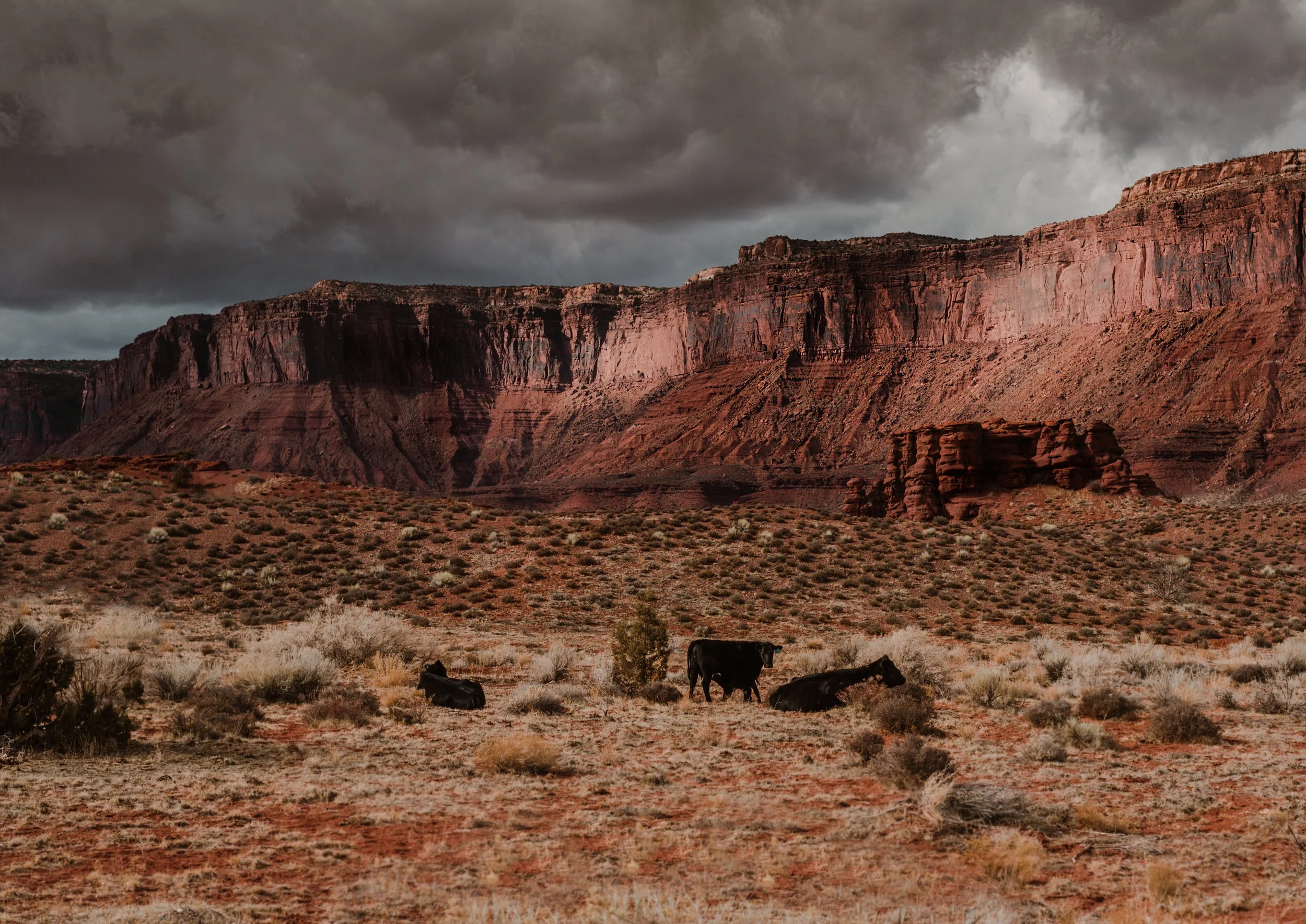 nmazut-roadtrip-jan2021-56-Edit.jpg