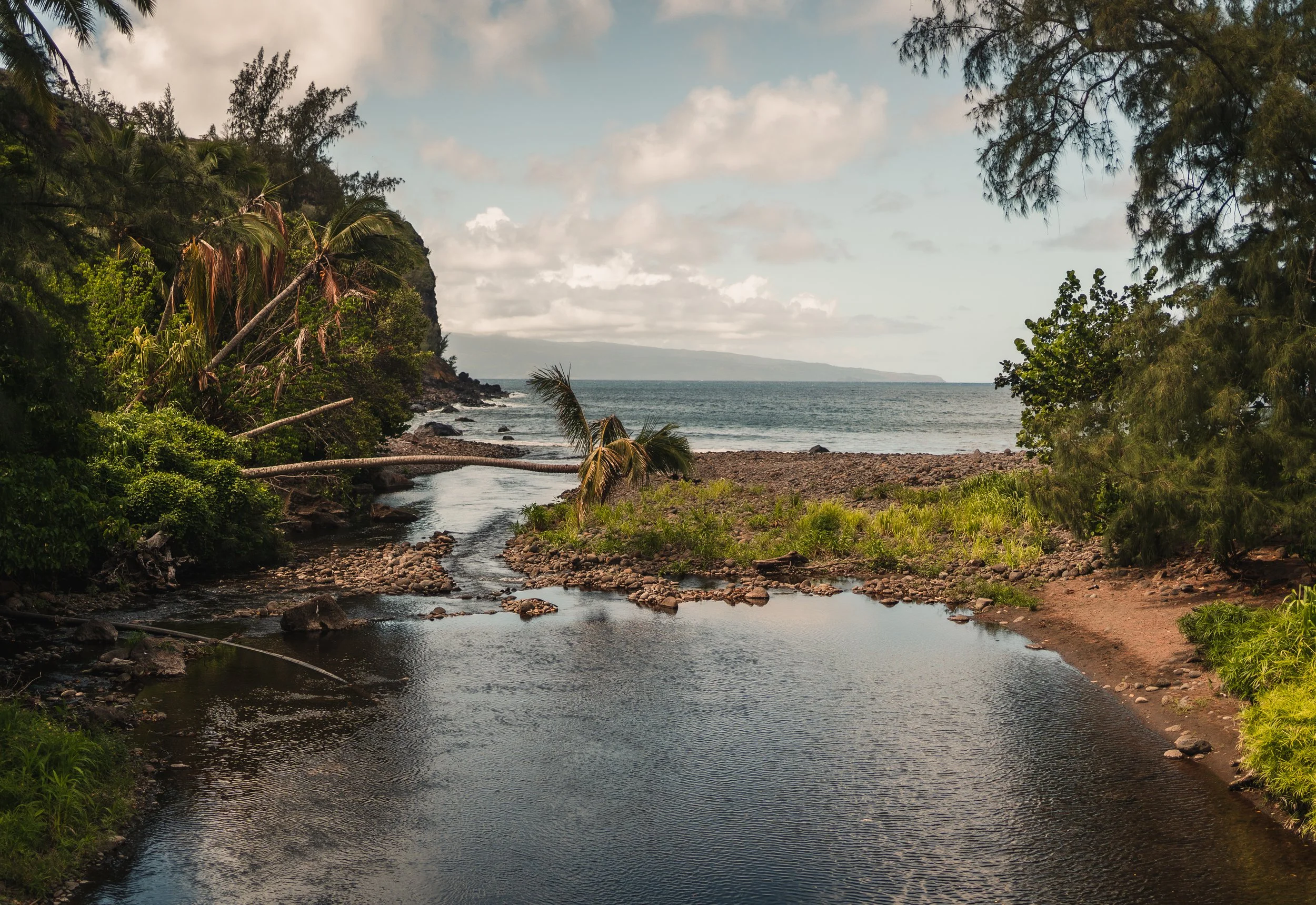 hawaii october 2021-84.jpg
