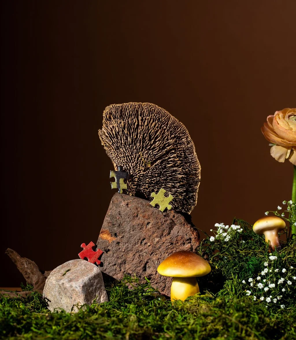mcmacstudio-goodfit-creative-mushroomboy-2-17.jpg