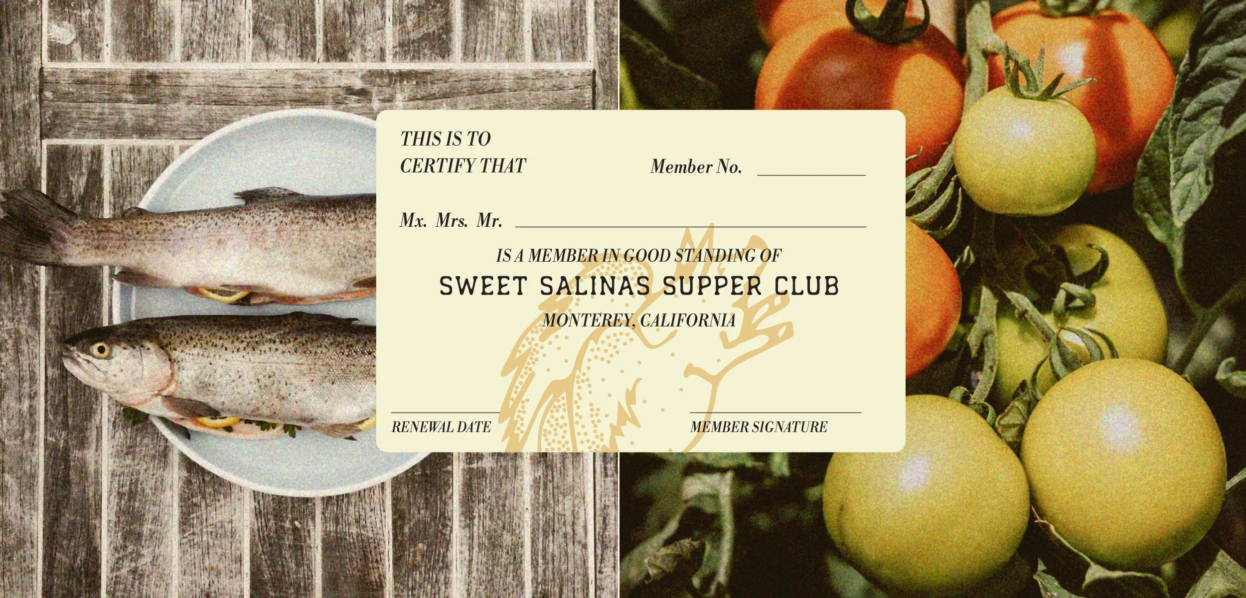mcmacstudio-portfoliobanners-sweet salinas-10.jpg