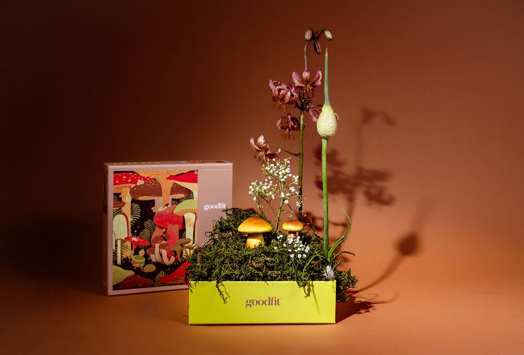 mcmacstudio-goodfit-creative-mushroomboy-00164.jpg