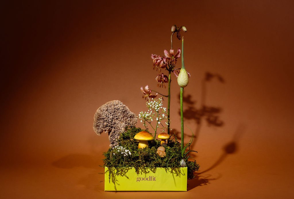 mcmacstudio-goodfit-creative-mushroomboy-00155.jpg