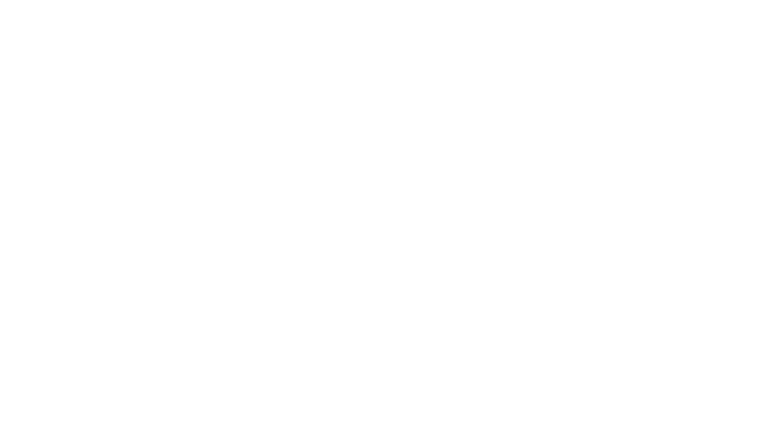 Homestead Fan Zone