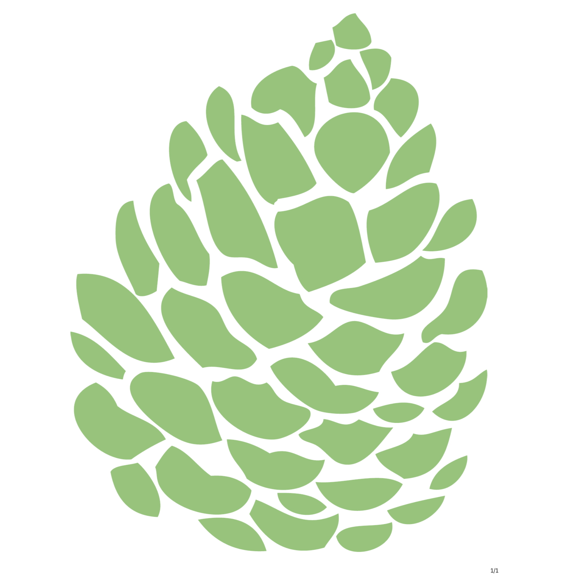 Stylized ponderosa pine cone illustration with thick outlines that blend with the background.