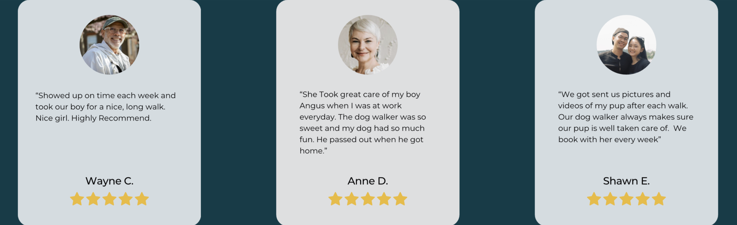 Three 5 Star Reviews for Dog Walking And Pet Sitting Services