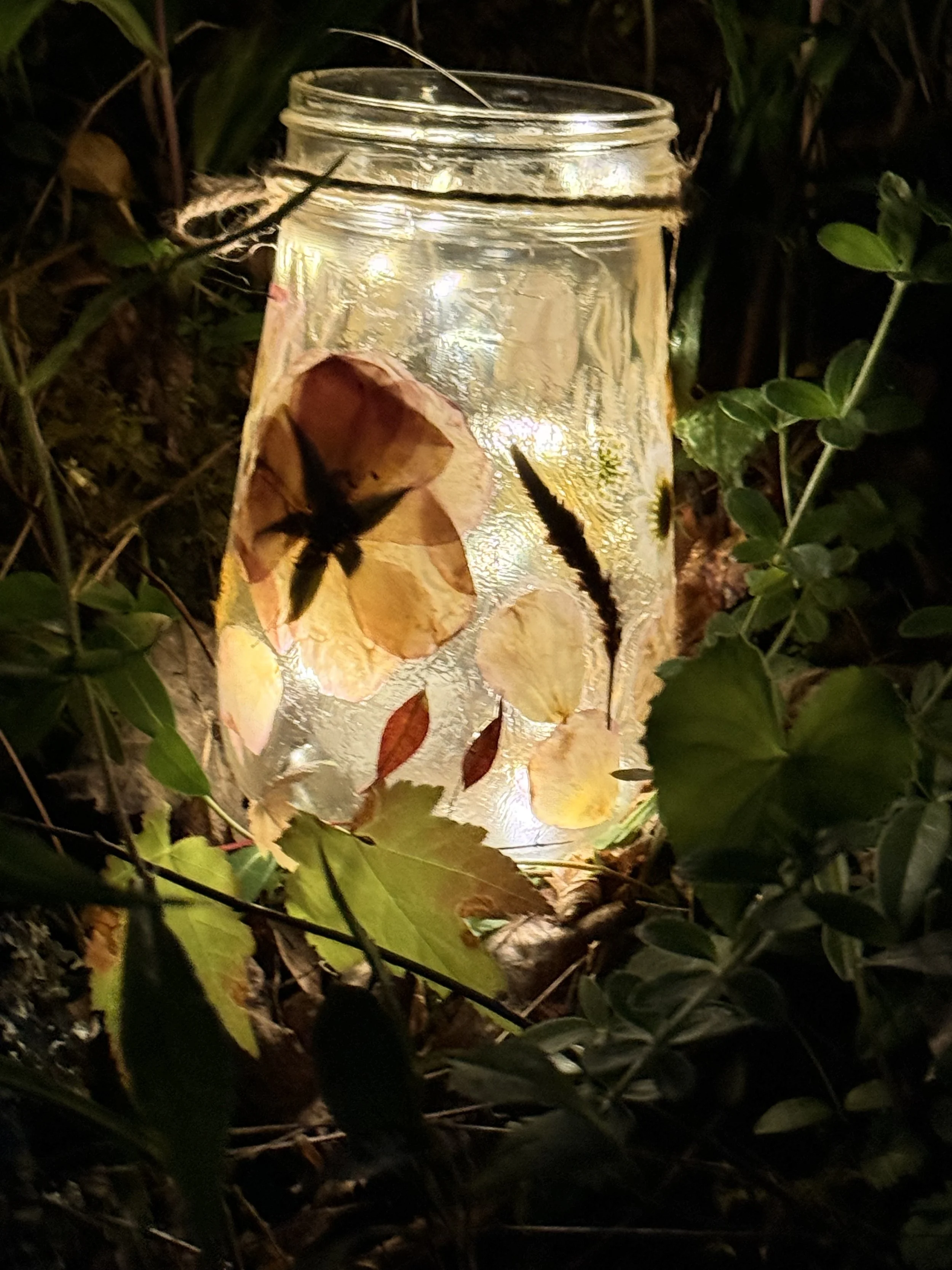 Wildflower Crafts: Botanical Lantern, stay tuned for new dates