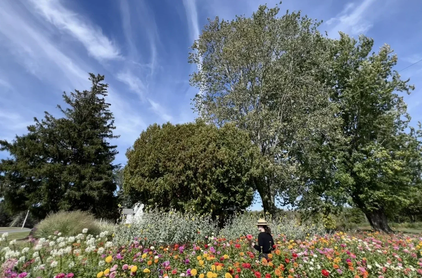 Peaceful flower garden at Saratoga Reiki Room, reflecting the calming environment for healing and wellness.