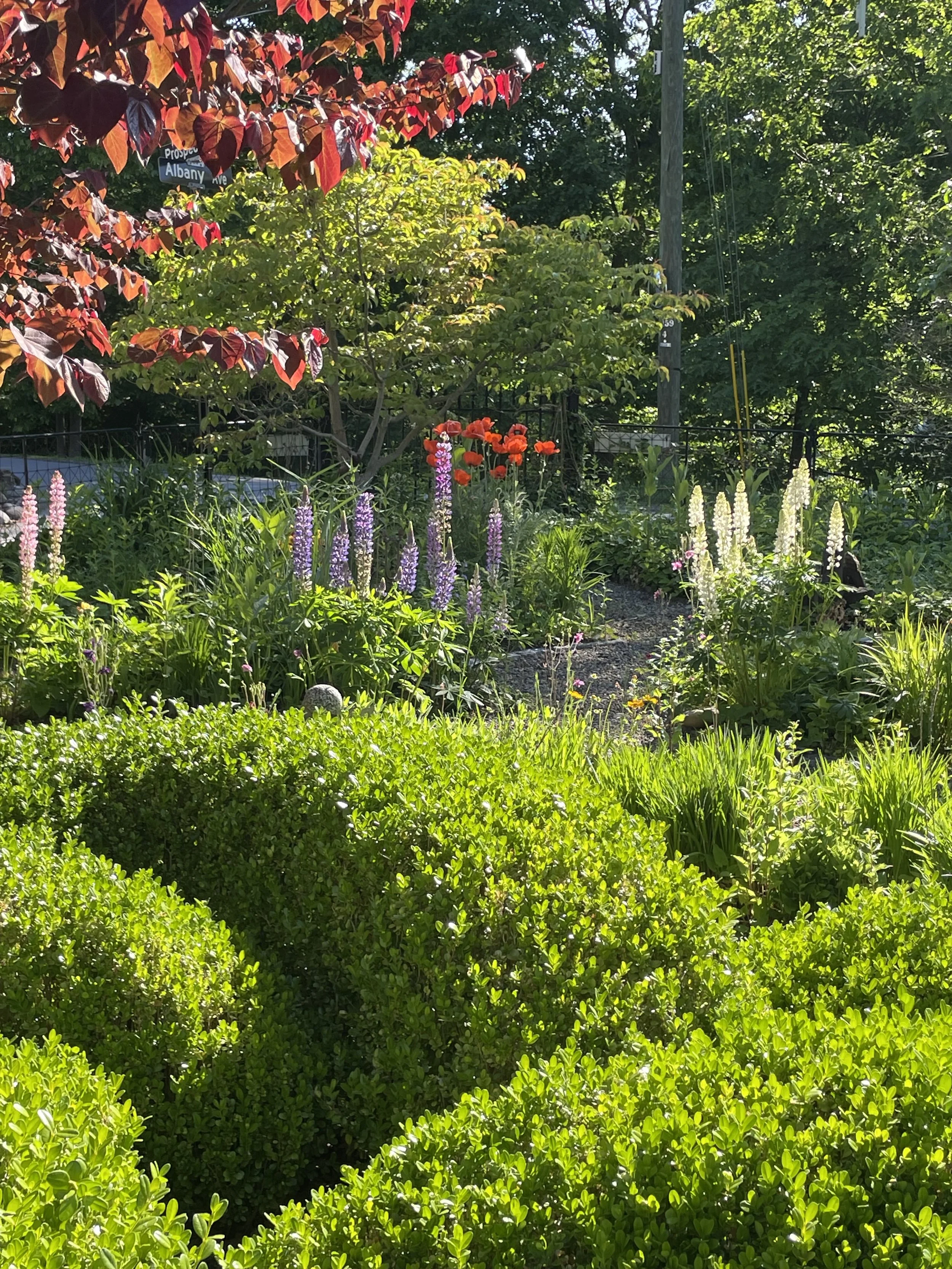Peaceful garden representing the calming and restorative experience of Reiki and holistic healing.