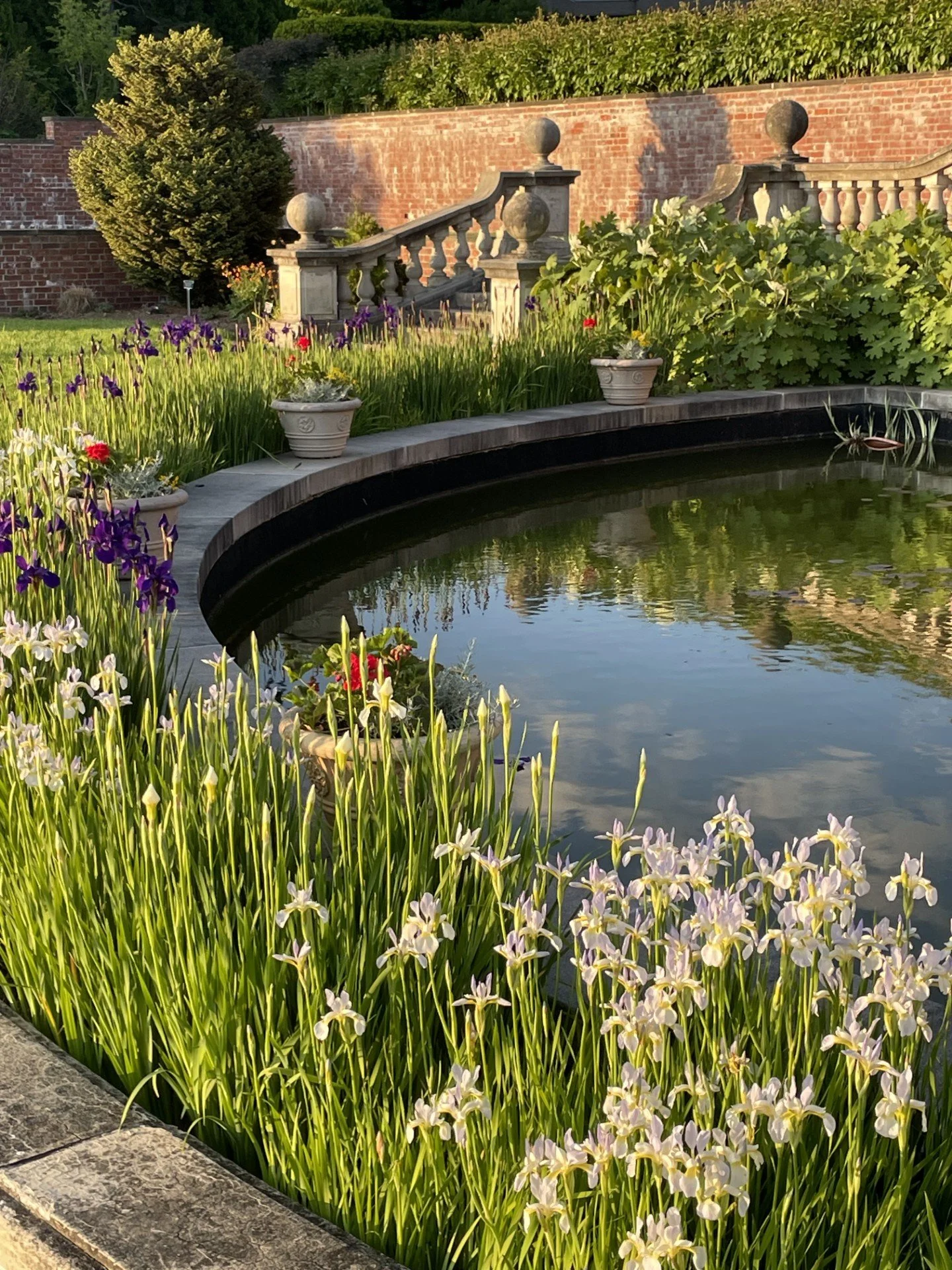 Peaceful garden and pond reflecting the calm, restorative environment of Reiki and Restore.