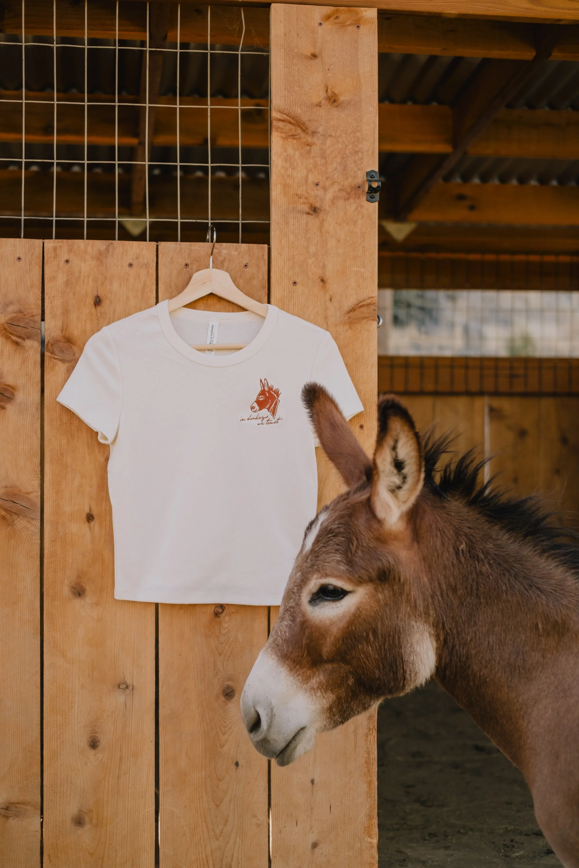 Victoria Donkey Tee-046.jpg