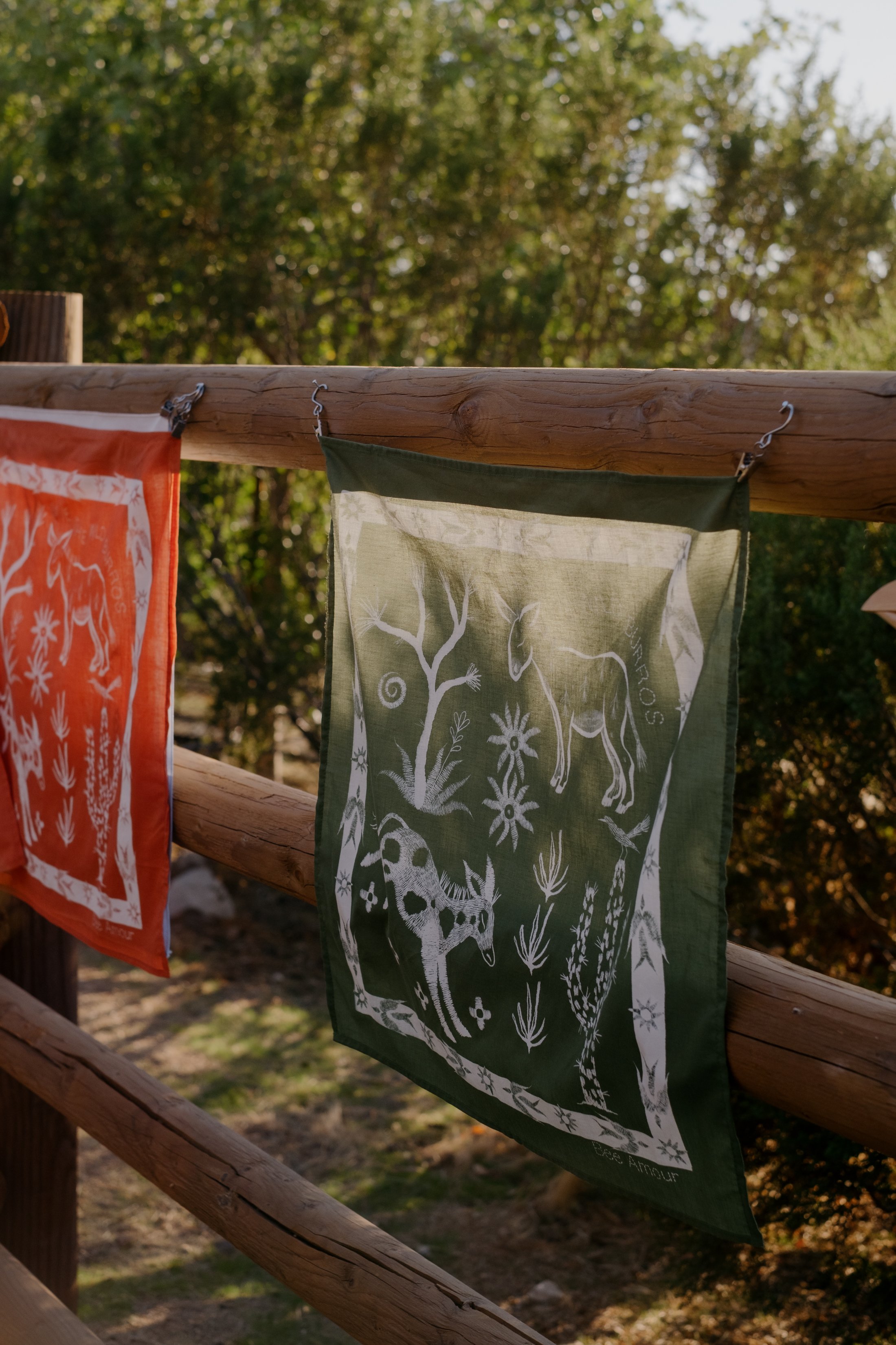 Bandanas & Burros-019.jpg