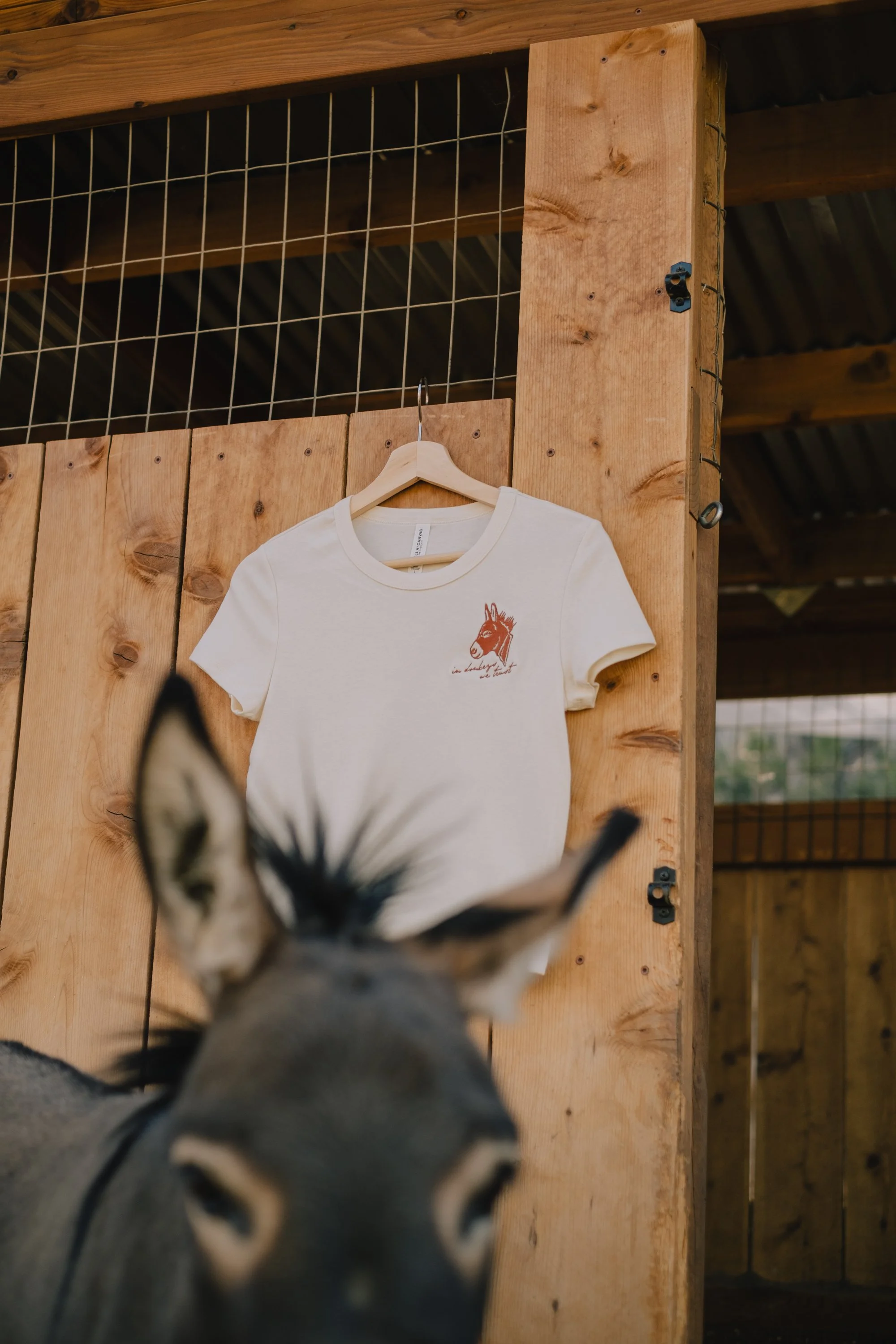 Victoria Donkey Tee-035.jpg