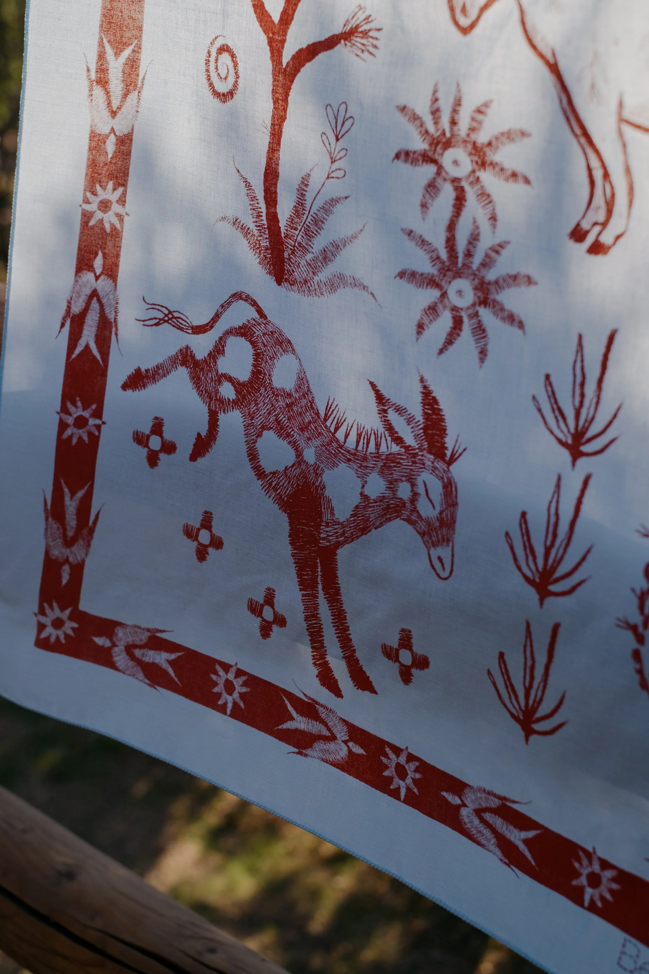 Bandanas & Burros-005.jpg