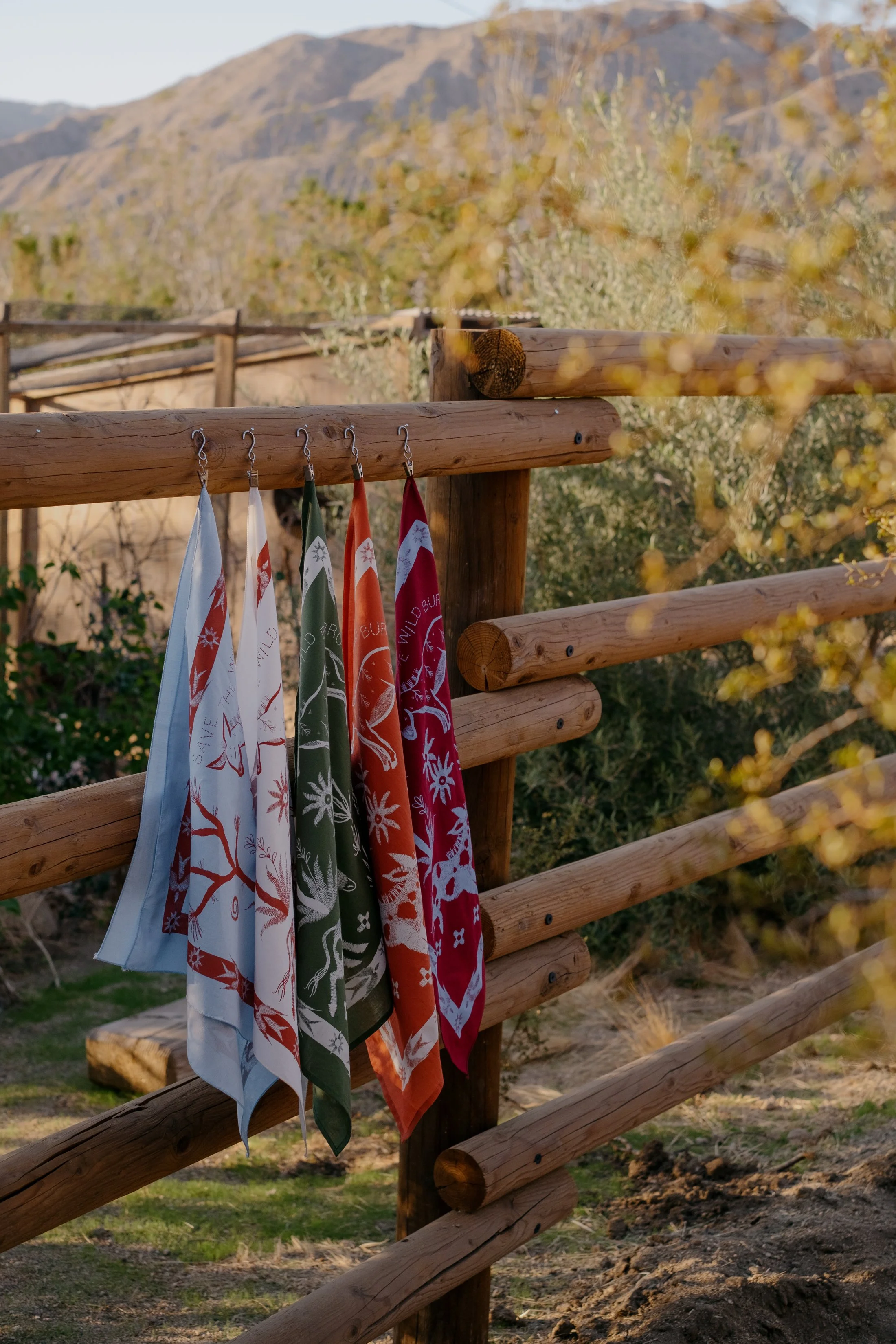 Bandanas & Burros-045.jpg