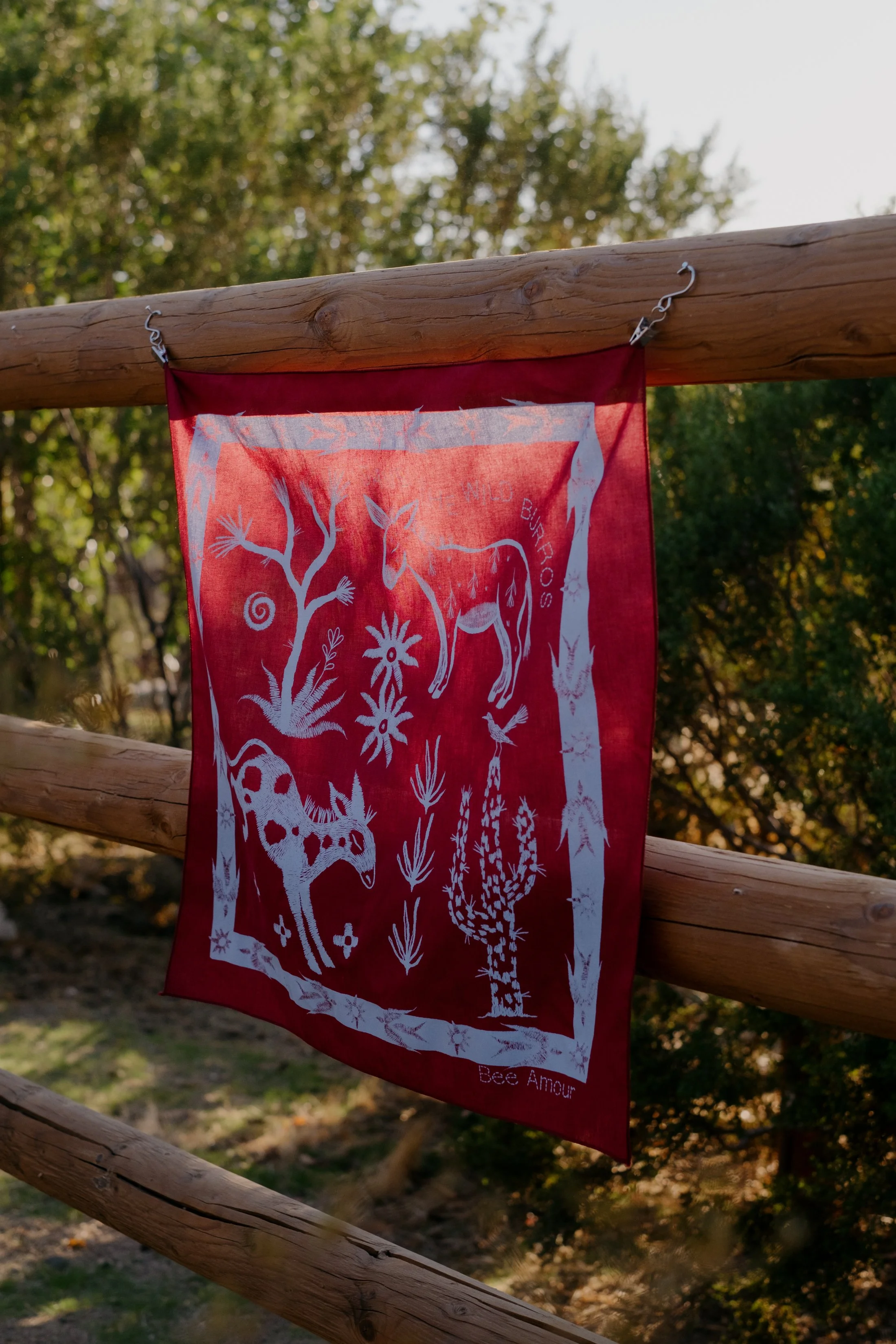 Bandanas & Burros-027.jpg