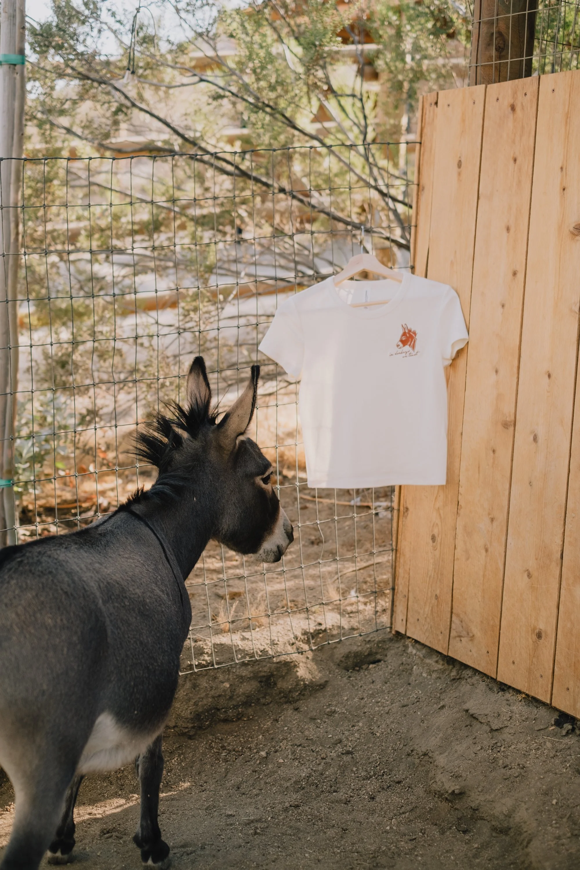 Victoria Donkey Tee-028.jpg