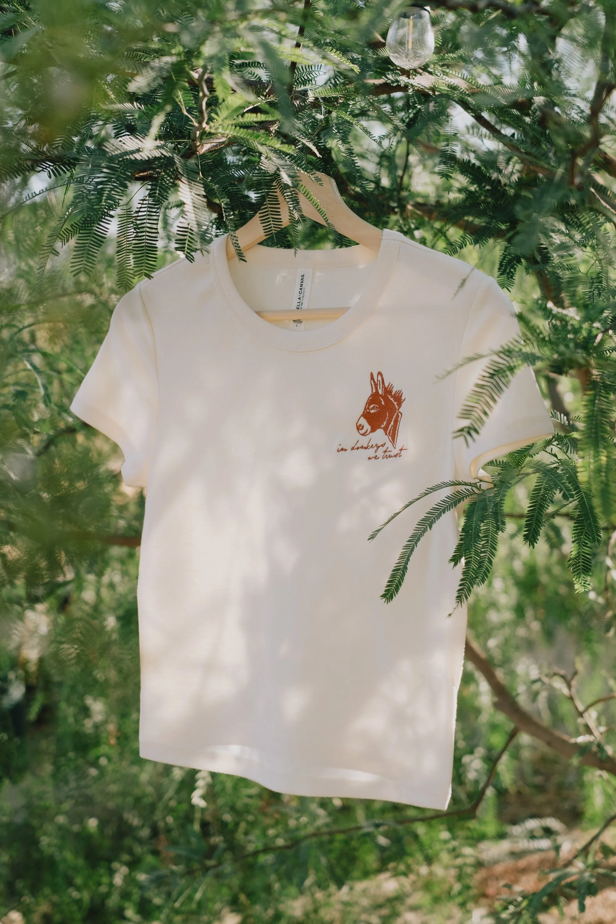Women's Embroidered Baby Tee - "In donkeys we trust"