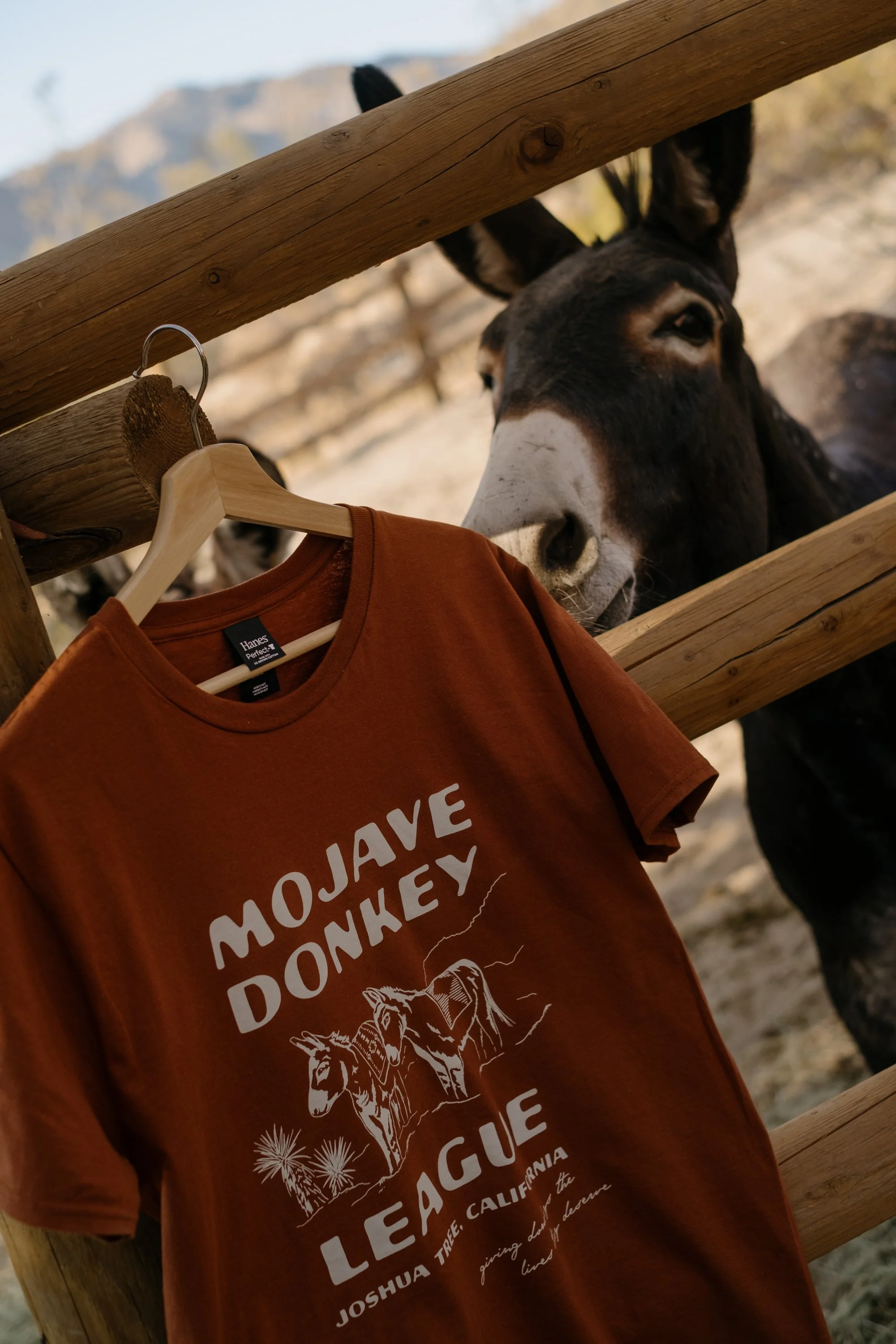 Merch Photos - Tee & Blanket-039.jpg