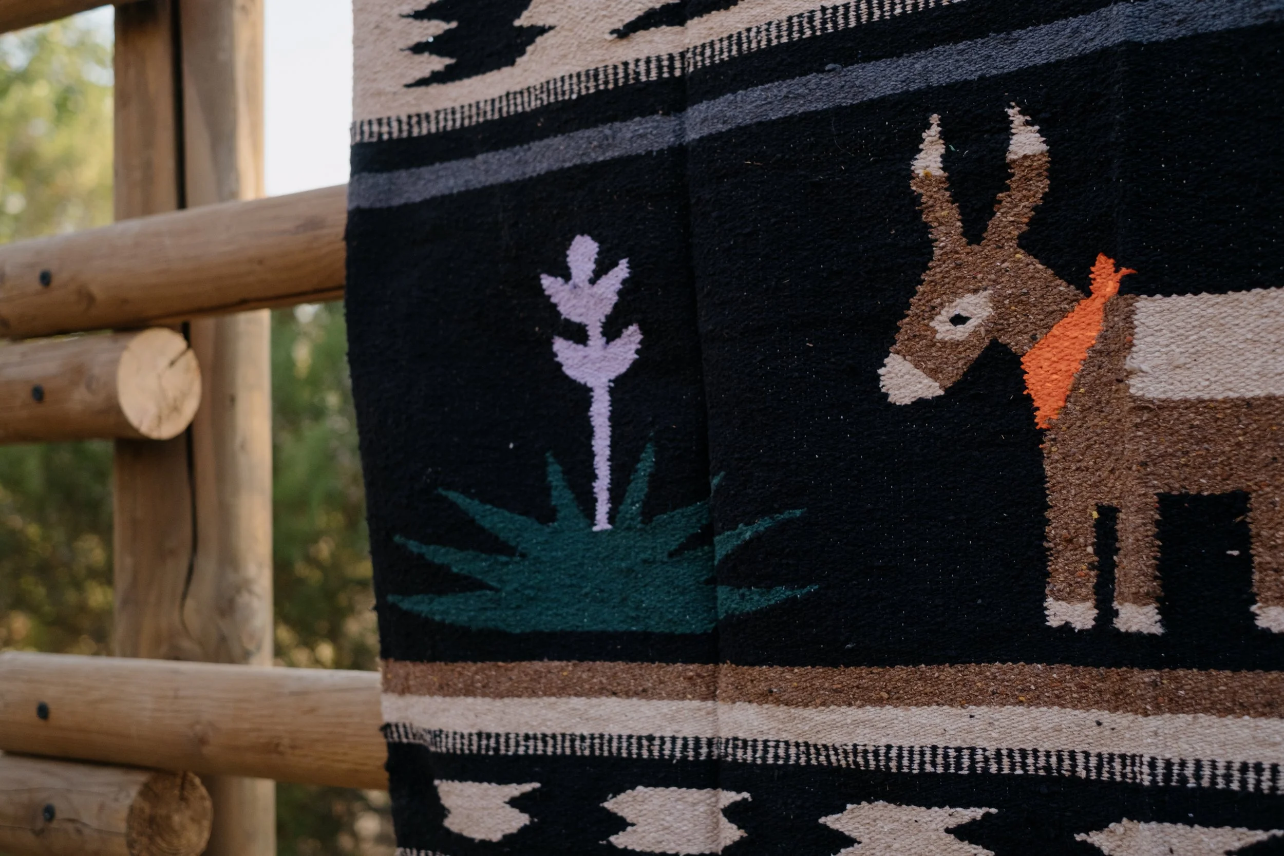 Merch Photos - Tee & Blanket-067.jpg