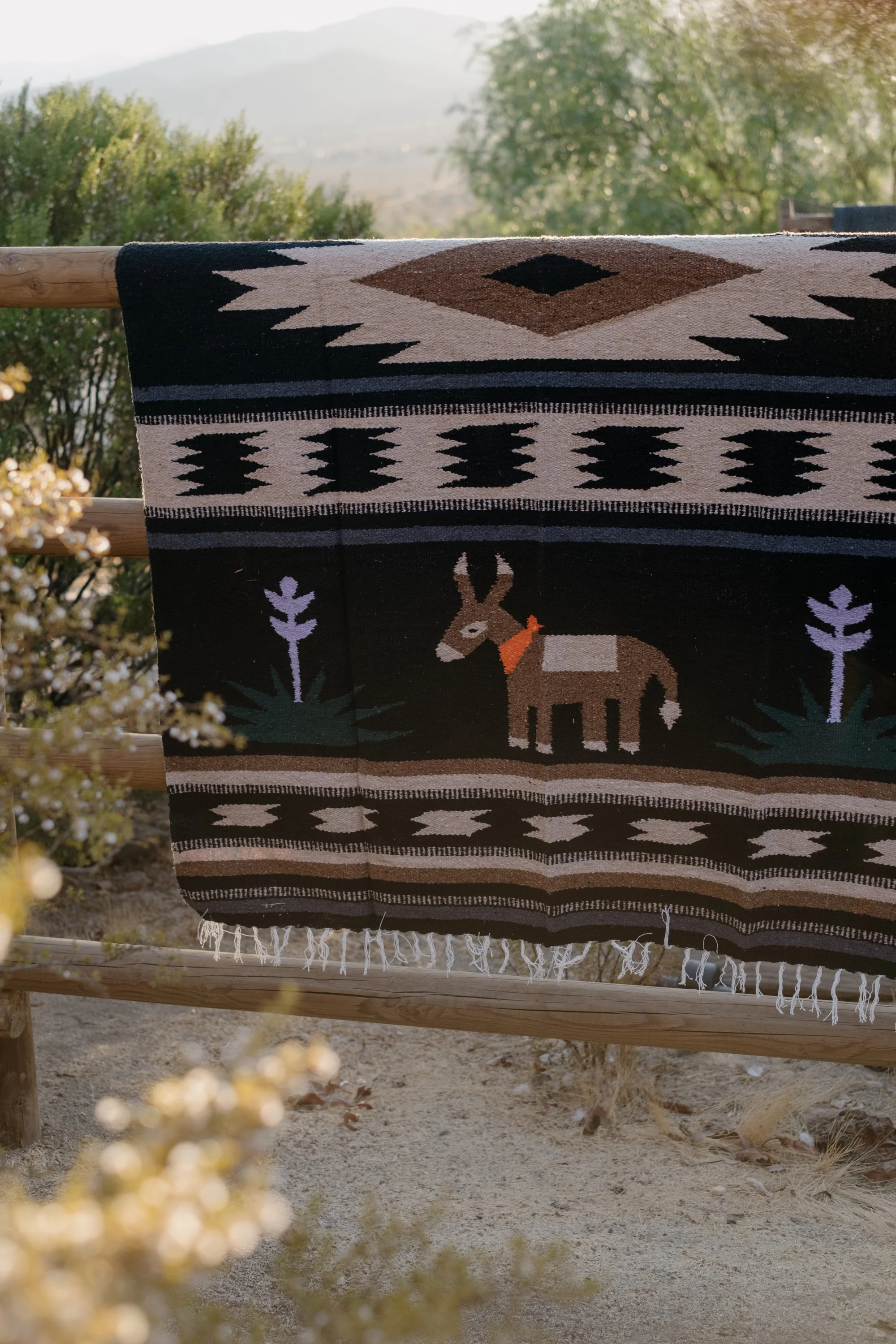 Merch Photos - Tee & Blanket-058.jpg