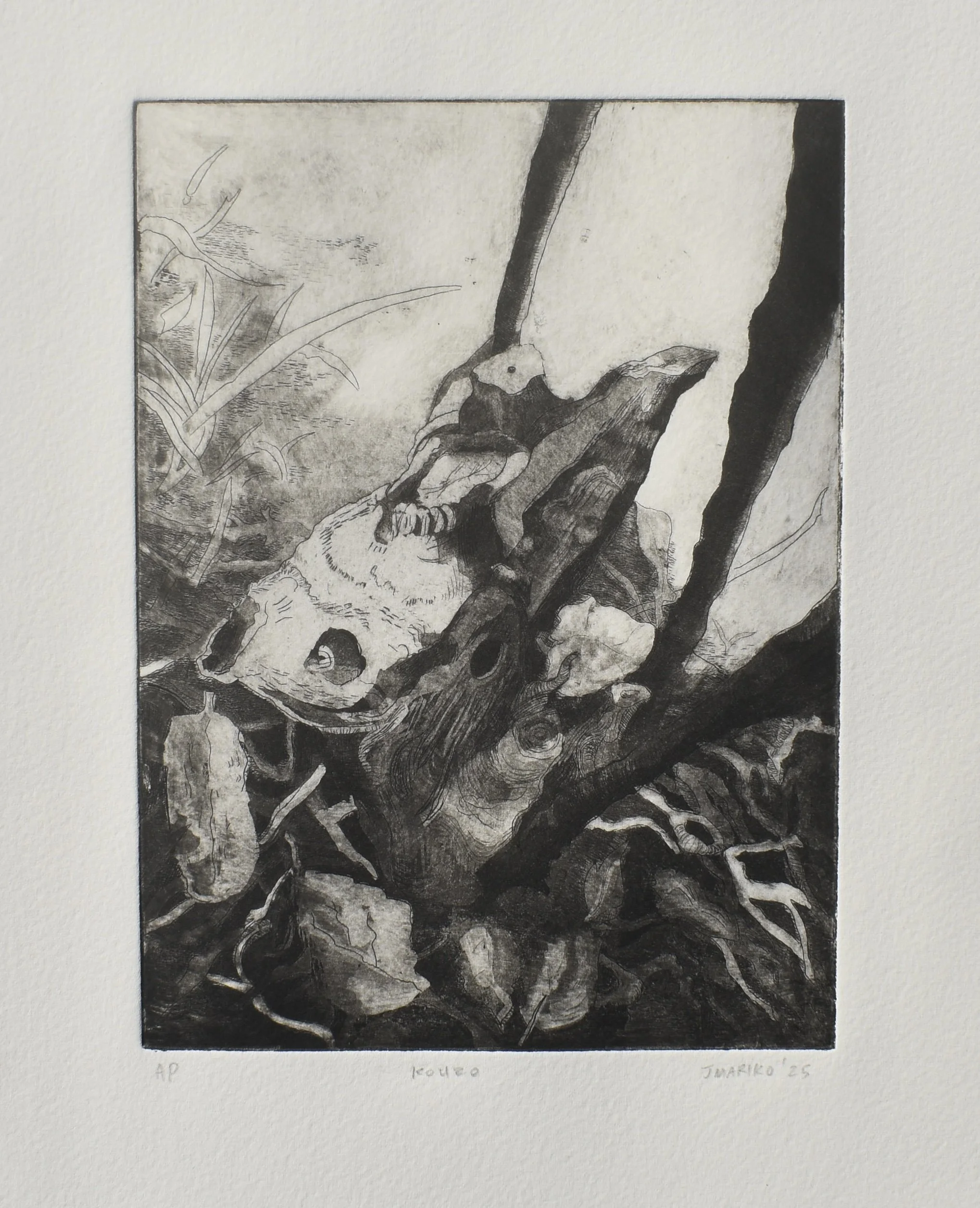 Kozo, 6x8”, aquatint, hard ground etching on BFK, 2025