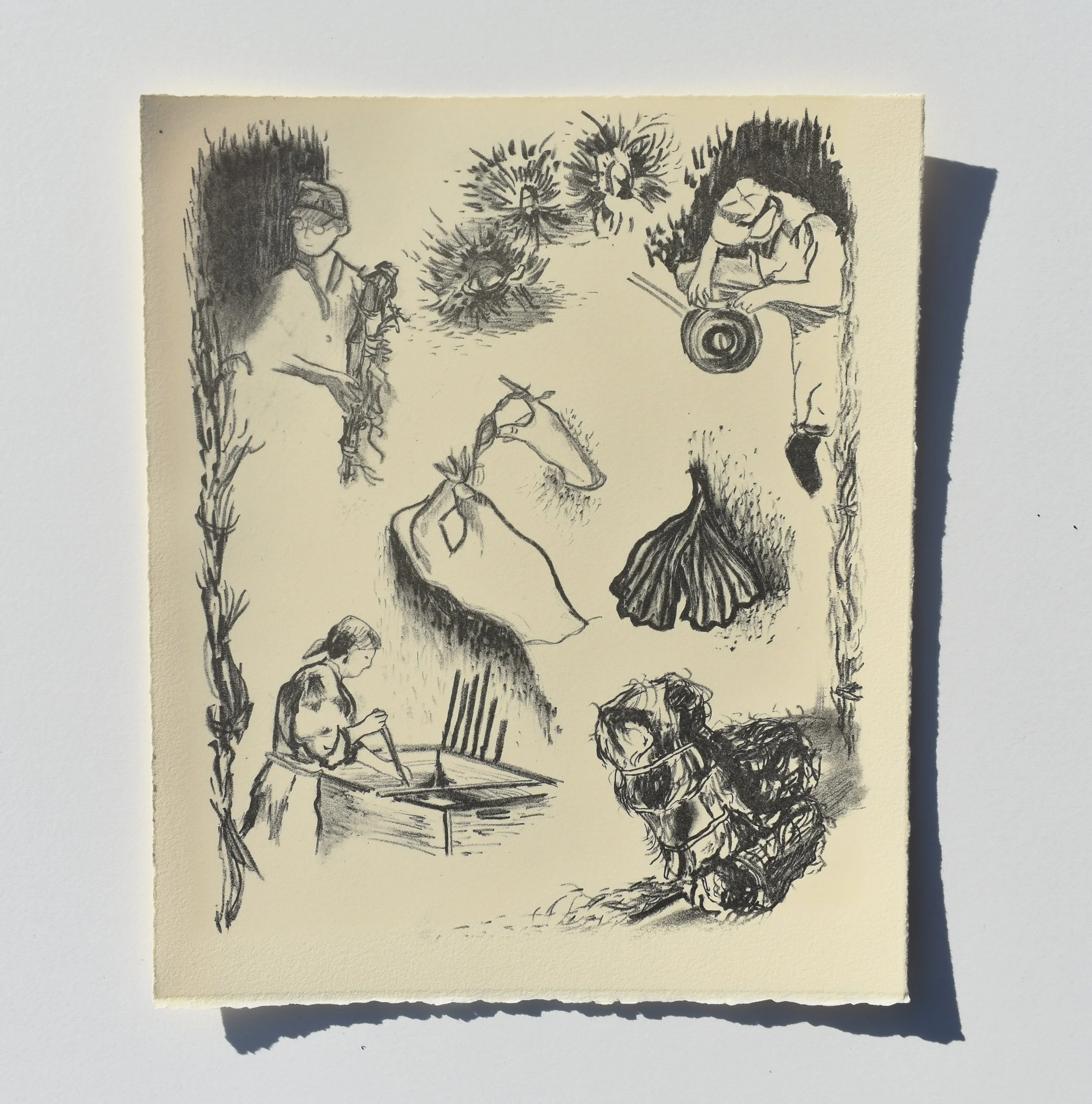lithograph, 2025