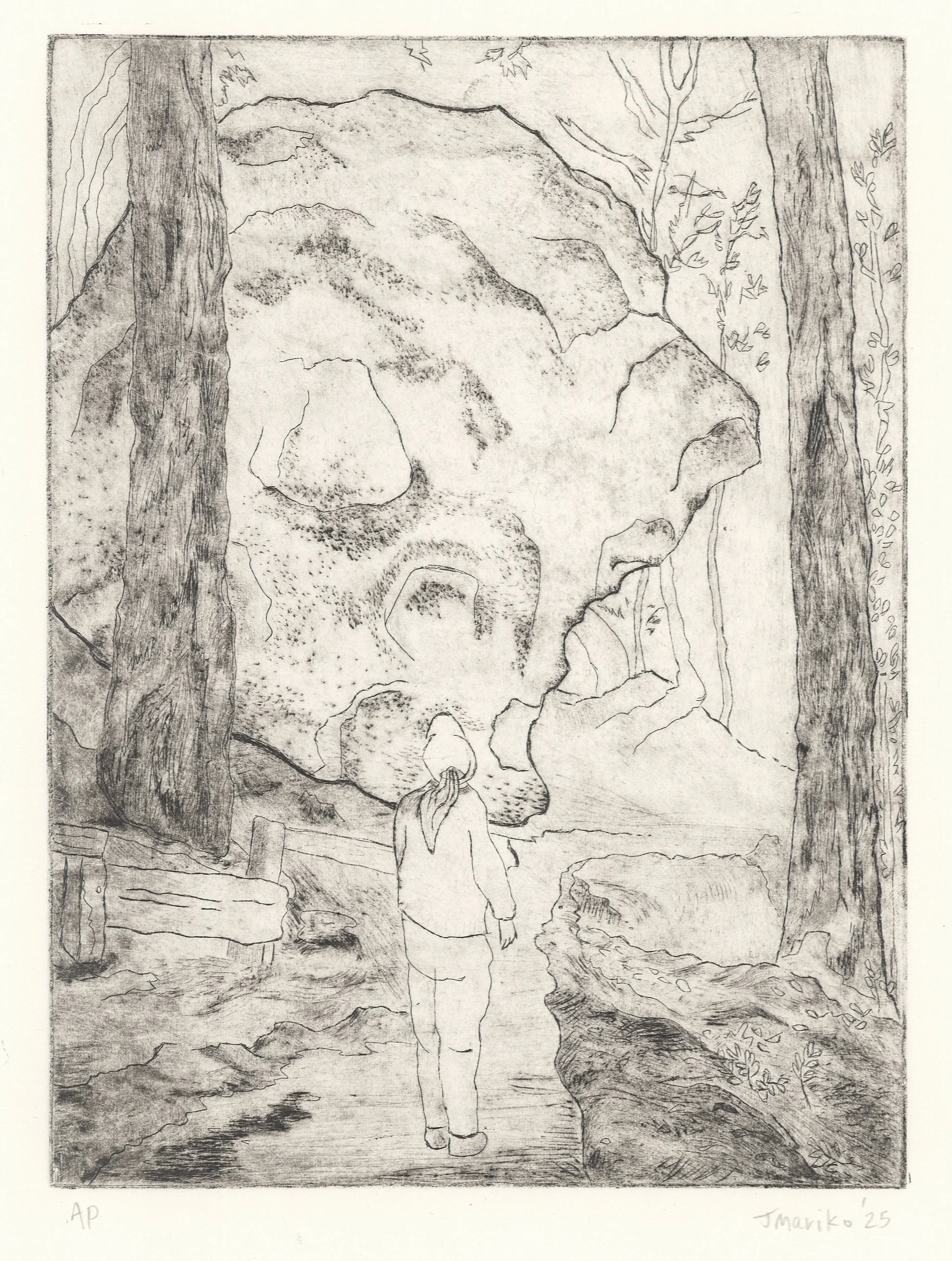 Tafoni, 6x8”, drypoint on BFK, 2025