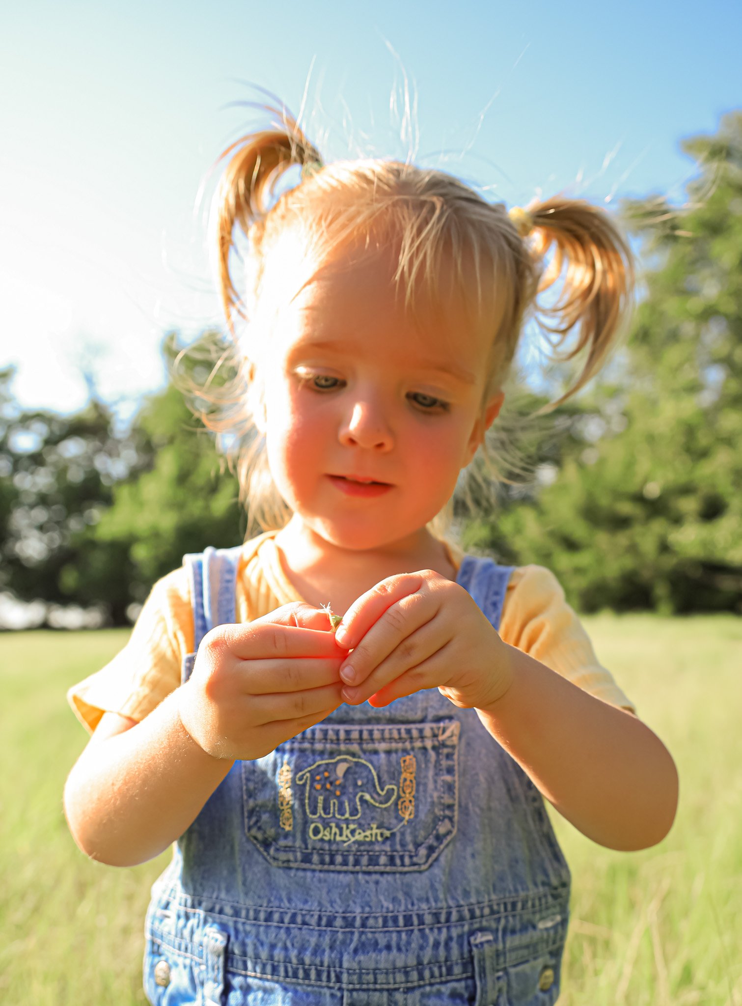 IMG_1120-3.jpg