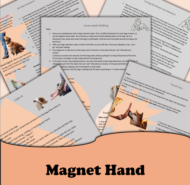 Magnet Hand