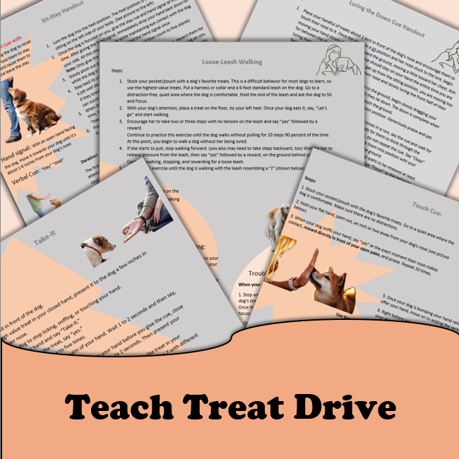 Teaching Treat Drive