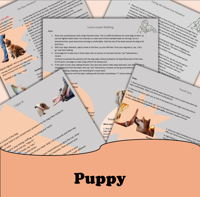 Puppy