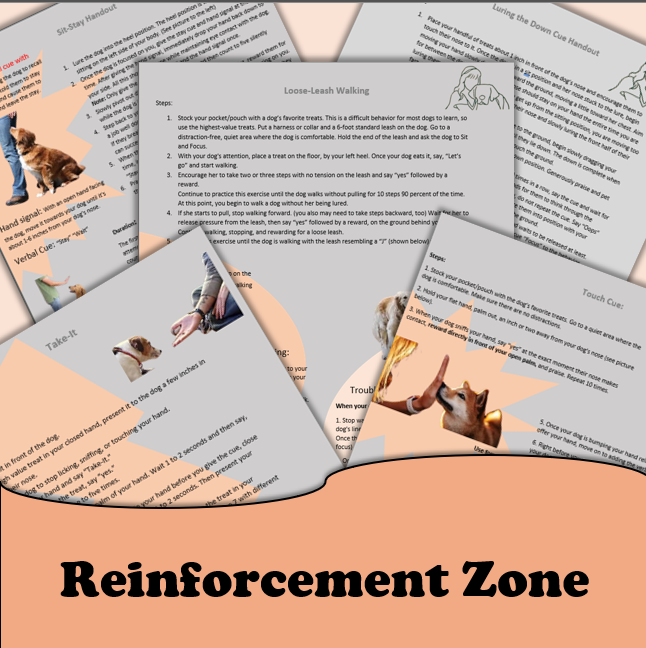 Reinforcement Zone