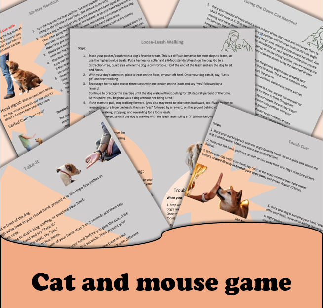 Cat and Mouse game