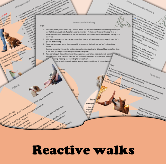 Reactive walks