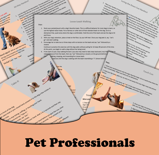 Pet Professionals