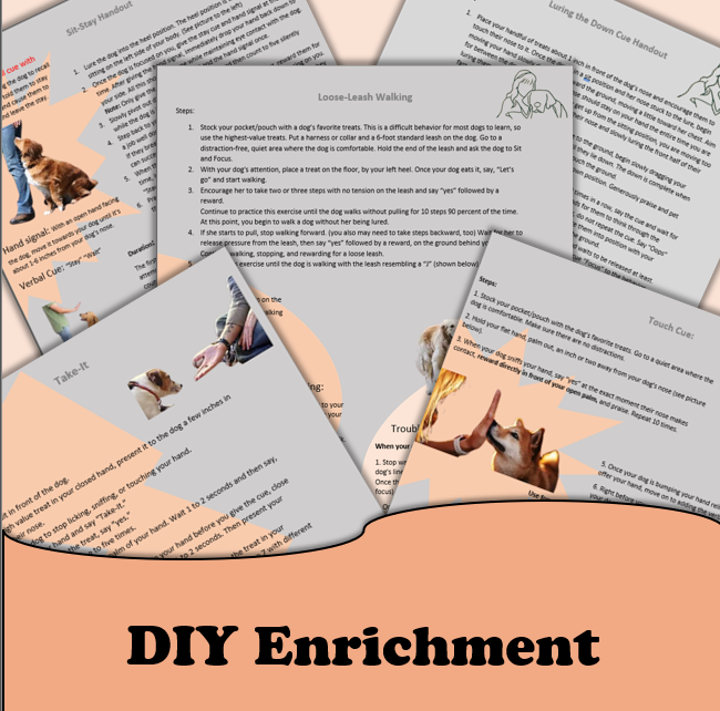 DIY Enrichment