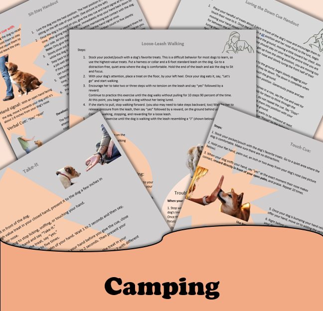 Camping with Dogs