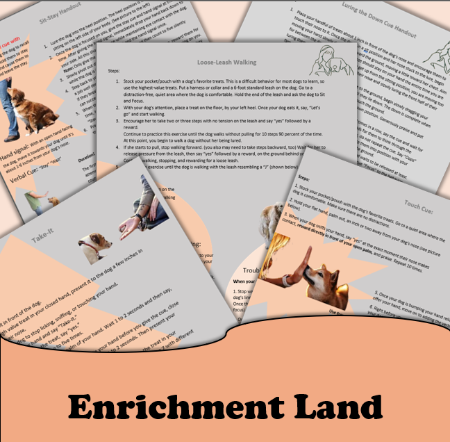 Doggie enrichment land