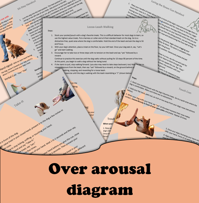 Over Arousal Diagram