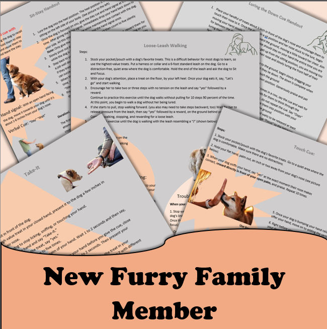 Welcoming a new dog