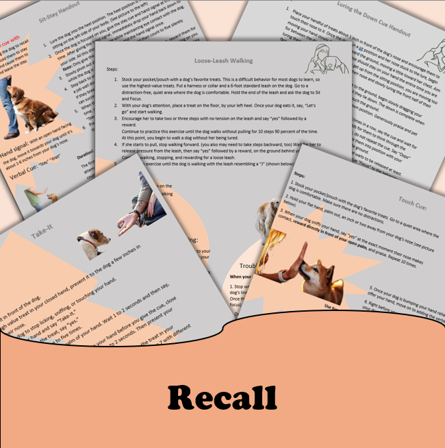 Recall Games