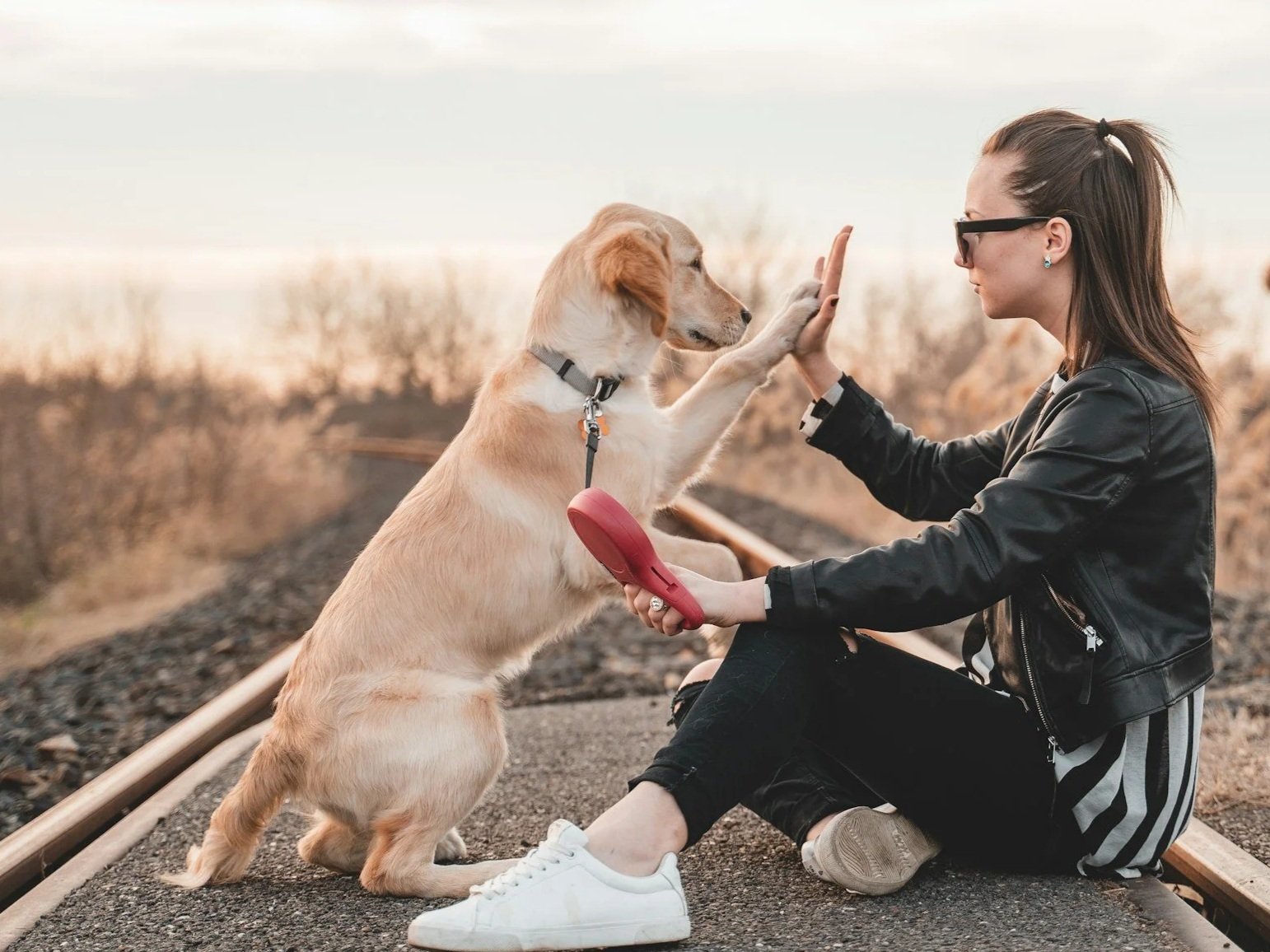 A woman in sunglasses and a leather jacket sitting on train tracks giving a high-five to a dog standing on its hind legs.