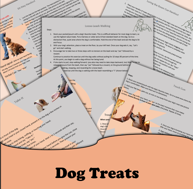 Human food for dogs